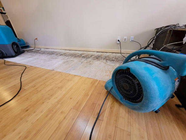 Professional Ceiling Water Damage Repair technician working in Bunceton, MO